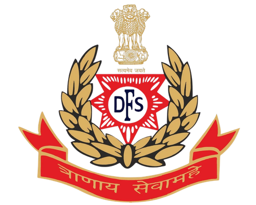 Delhi Fire Service